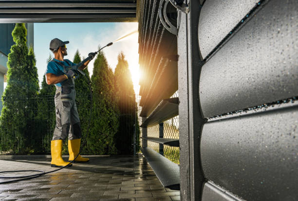 Best Roof Power Washing Services  in Pquemine, LA